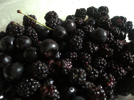 Blackberries and cherries